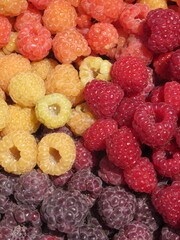 Zbliżenie na owoce maliny