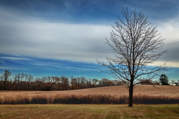 Fototapeta premium End of Fall