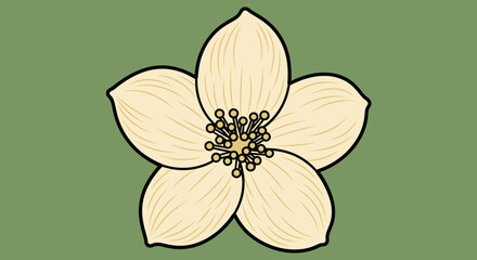 Isolated five-petal flower with yellow center on green