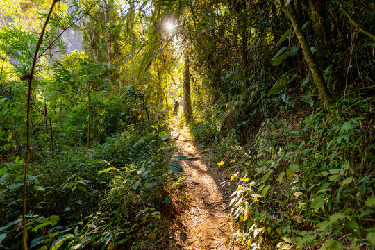 Stunning views of the Brazilian Atlantic Forest during the crossing and hike between Petr&oacute;polis and Teres&oacute;polis in the Serra dos &Oacute;rg&atilde;os National Park (PARNASO).