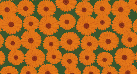 Many orange flowers, evenly spaced, on a dark green background