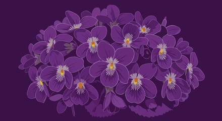 A bunch of purple violets on a dark purple background