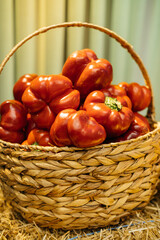 A vibrant basket holds an assortment of fresh red bell peppers, showcasing natures glorious bounty and freshness