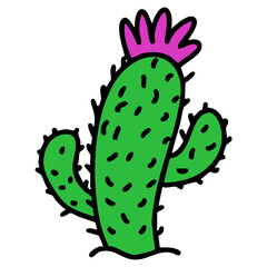 traditional brazilian flowering cactus plant