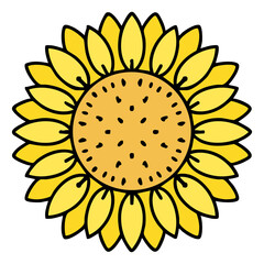 brazilian culturally iconic traditional sunflower