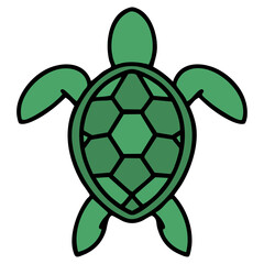 brazilian turtle shown from above