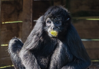 views of captive animals in a wildlife park 
