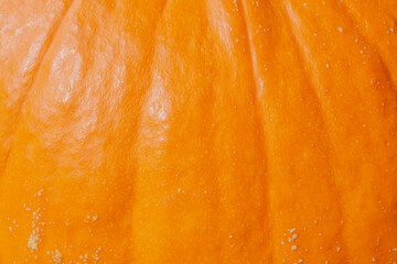 natural autumnal backdrop: close up of bright orange pumpkin skin texture