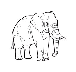 A highly simplified, clean line art of an elephant head