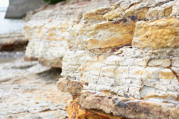A detailed close-up view of a layered sedimentary rock formation on a coastal cliff in Japan, showing natural textures and geological patterns.