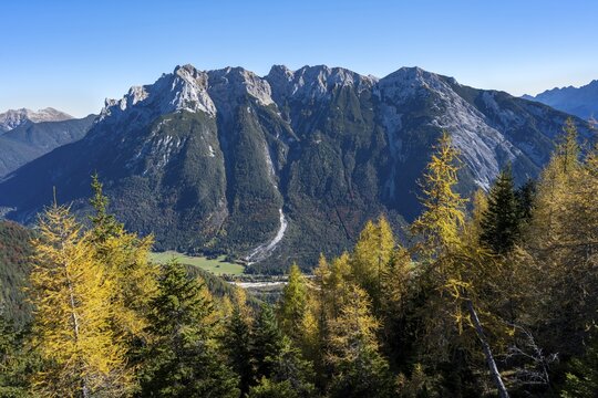 Autumnal mountain forest, yellow-coloured larches, ascent to the Gro&szlig;e Arnspitze, view of mountain peaks of the Karwendel, near Scharnitz, Bavaria, Germany