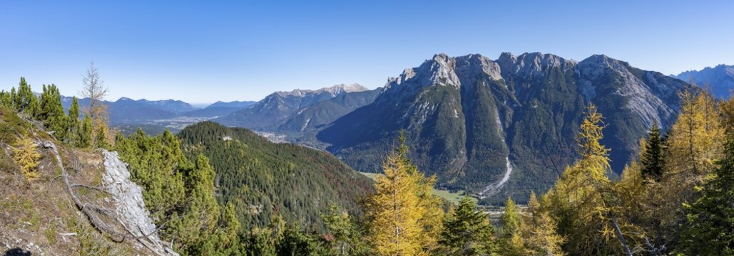 Autumnal mountain forest, yellow-coloured larches, ascent to the Gro&szlig;e Arnspitze, view of mountain peaks of the Karwendel, near Scharnitz, Bavaria, Germany