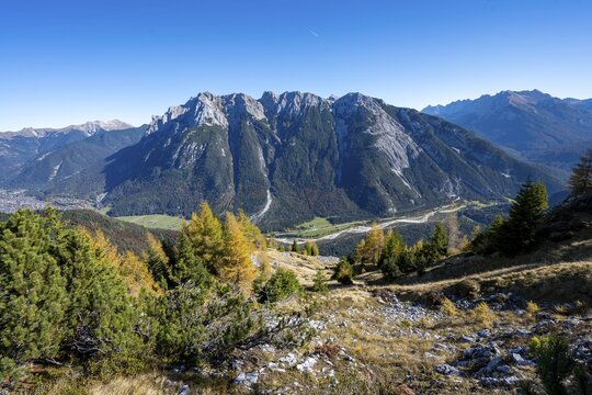 Autumnal mountain forest, yellow-coloured larches, ascent to the Gro&szlig;e Arnspitze, view of mountain peaks of the Karwendel, near Scharnitz, Bavaria, Germany