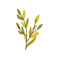 Autumn leaf drawing in warm orange and yellow tones, botanical sprigs and twigs rendered as handmade vector graphic artwork.