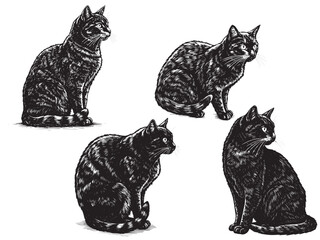 Black Cat Vintage Engraved Spooky Animal Illustration Isolated Vector
