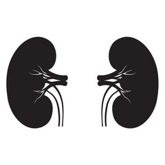 black and white silhouette of Kidneys vector on white background