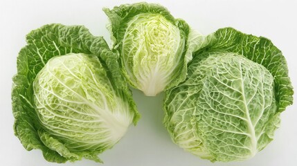 Fototapeta premium a close up of three fresh heads of cabbage, each with distinct ridges and textures that indicate their crispness