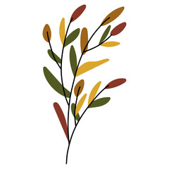 Autumn leaf drawing in warm orange and yellow tones, botanical sprigs and twigs rendered as handmade vector graphic artwork.