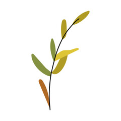 Obraz premium Autumn leaf drawing in warm orange and yellow tones, botanical sprigs and twigs rendered as handmade vector graphic artwork.