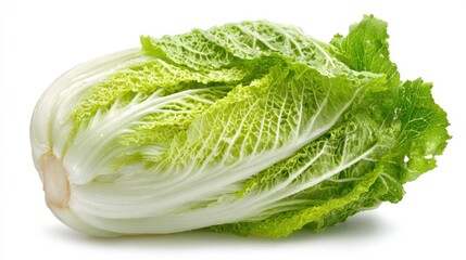 a head of lettuce with large green leaves, presented against a white background