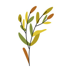 Autumn leaf drawing in warm orange and yellow tones, botanical sprigs and twigs rendered as handmade vector graphic artwork.