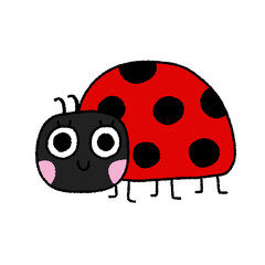 Obraz premium ladybug 