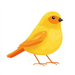 Bright yellow songbird with orange accents, a delicate avian creature illustration