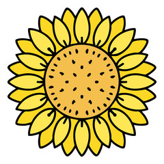 brazilian culturally iconic traditional sunflower