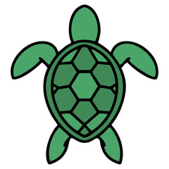 brazilian turtle shown from above