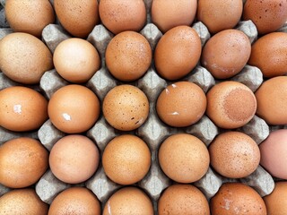 Top view of fresh brown eggs neatly organized in a cardboard egg tray, showcasing natural farm produce and food supply.
