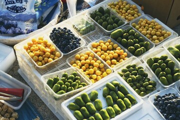 秋日森林集市：蓝莓、猕猴桃、榛子与蘑菇的丰收盛宴【Autumn Forest Market: A Bounty of Blueberries, Kiwis, Hazelnuts, and Mushrooms】