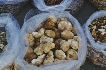 秋日森林集市：蓝莓、猕猴桃、榛子与蘑菇的丰收盛宴【Autumn Forest Market: A Bounty of Blueberries, Kiwis, Hazelnuts, and Mushrooms】