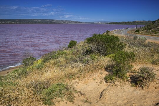 Pink Lake, Port Gregory, Western Australia, Australia
