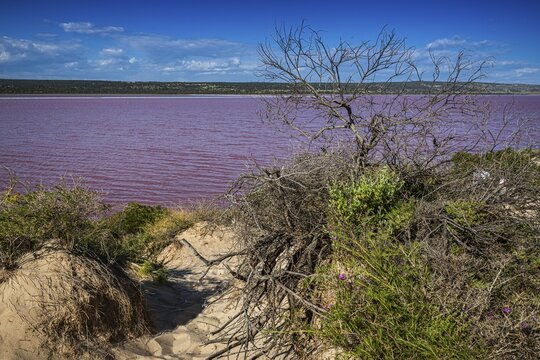 Pink Lake, Port Gregory, Western Australia, Australia