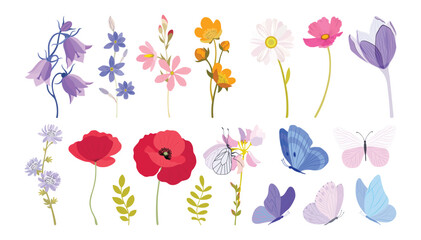 Summer meadow flowers. Poppy flowers. Pink, red, blue, green colors. Flower illustrations, summer field, butterflies. Herbal decoration, romantic wildflowers, kitchen towel, tablecloth, dress for girl © yuliabikirova