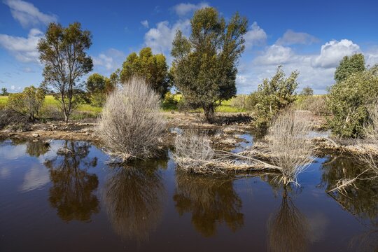 Landscape with wetland in the outback, Western Australia, Australia