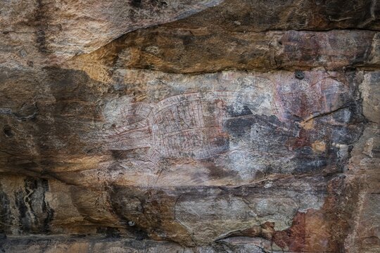 Aboriginal rock carvings, Kadadu National Park, Ubirr, or Obiri Rock, Northern Territory, Australia