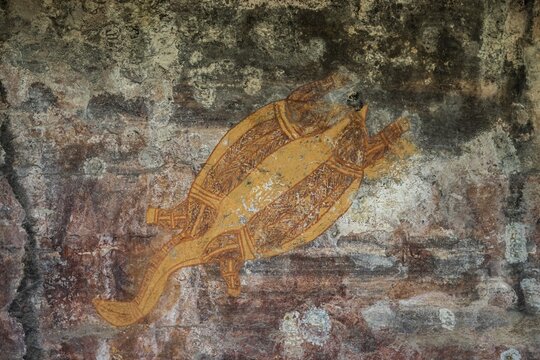 Aboriginal rock art, depiction of a turtle, Kadadu National Park, Ubirr, or Obiri Rock, Northern Territory, Australia