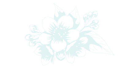 Pale floral sprig with a large open flower, buds, and leaves on a white background