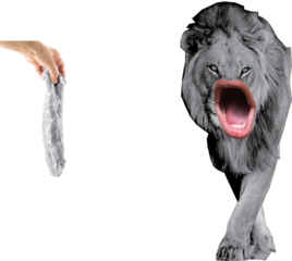 hand and lion art collage