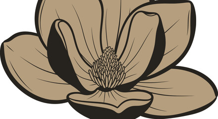 Graphic illustration of a magnolia flower in light brown & black