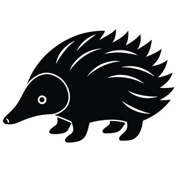echidna vector icon on white background
