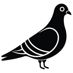 pigeon vector icon on white background