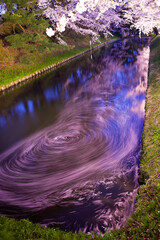 日本、青森県弘前市、弘前公園、夜桜ライトアップの花筏
