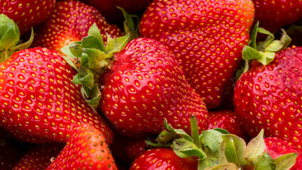 Földieper variációk ünnepi ebédhez