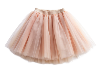 Tulle ballerina skirt isolated on white background
