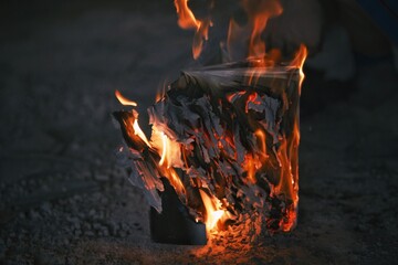 思想的火焰：燃烧的哲学书【The Flame of Thought: A Burning Philosophy Book】