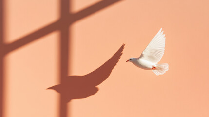 Light and Shadow, A bird's shadow glides across a sunlit wall, creating a striking contrast of light and dark.