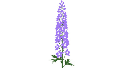Upright stalk of purple flower with leafy green base on white