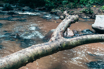 Branch over a stream, natural wooden branch resting above flowing water, surrounded by greenery, tranquil outdoor scene.